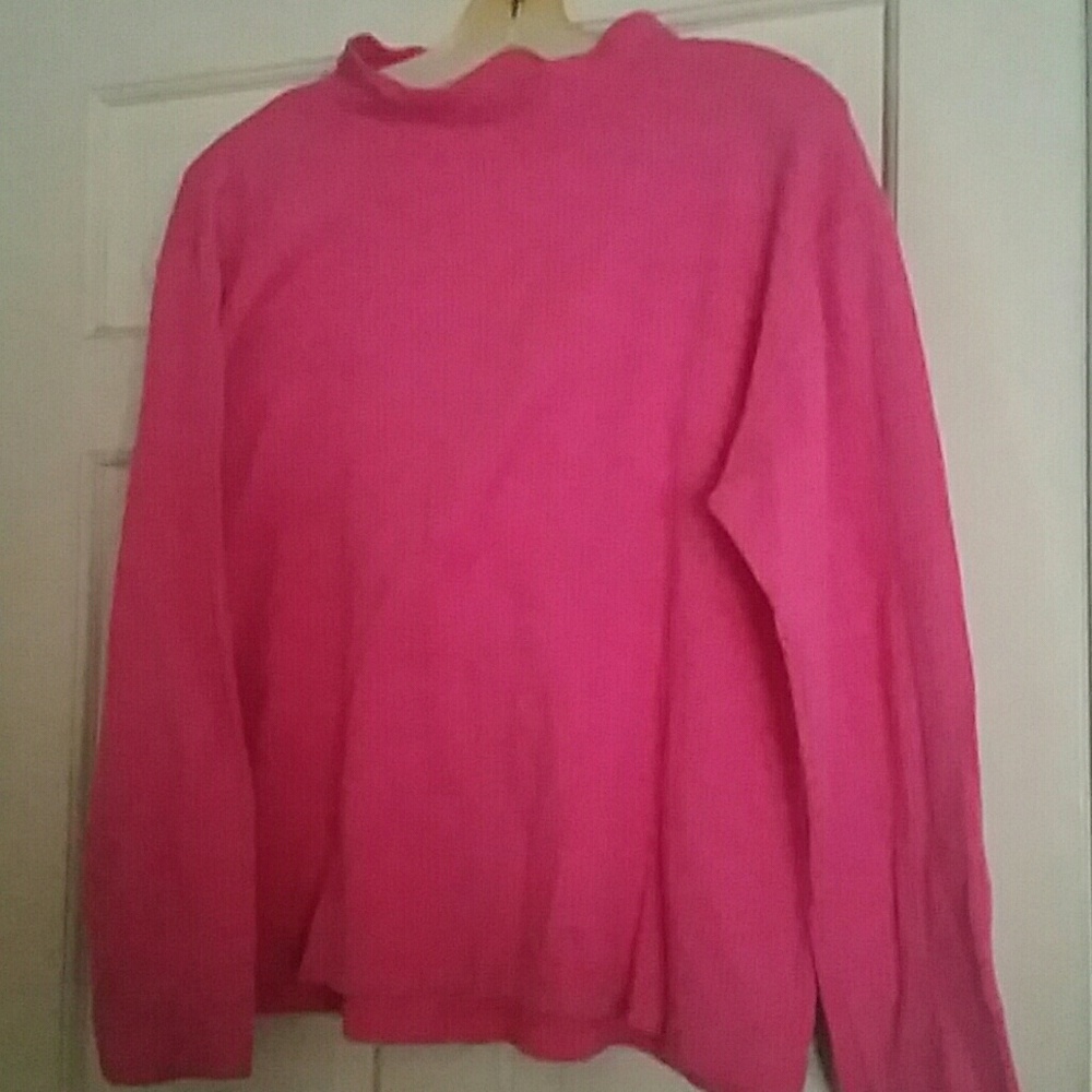 Mountain Express Pink Long Sleeve Top Size L